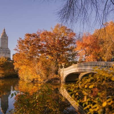 pexels-marta-wave-5876663